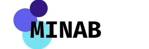 Logo Minab